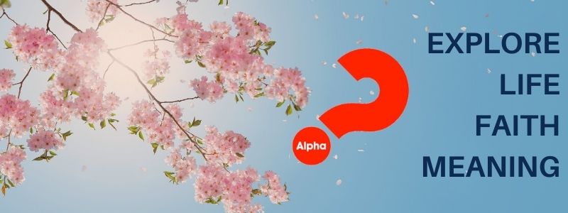 Daytime Alpha top